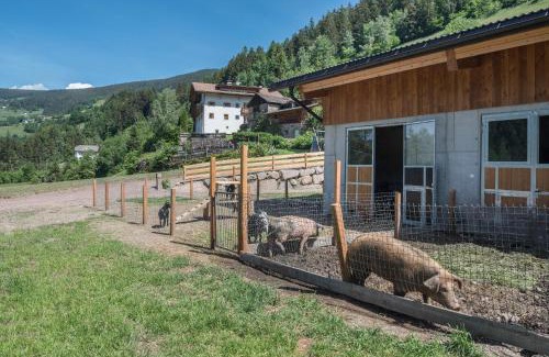 Laion Apartment | App Ringelblume Biohof Unterspisser