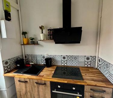 Nancy City Centre Apartment | Apparemment chaleureux hyper centre Nancy