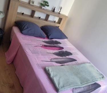 La Ferte-sous-Jouarre Apartment | Apparemment deux chambres