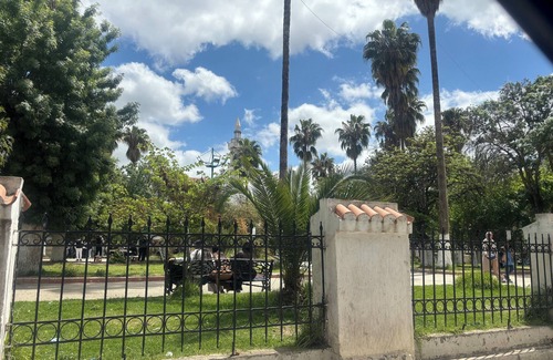Constantine Apartment | Apparently jasmines