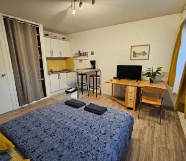 Montigny-les-Metz Apartment | Appart 28m2 Metz Canal équipé meublé Wifi