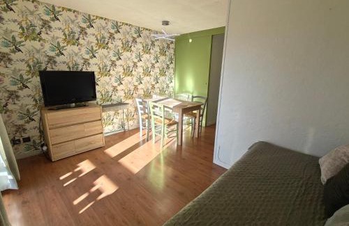 Mont-de-Lans Apartment | Appart au pied des pistes avec superbe vue