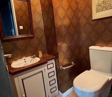 Vierzon Apartment | Appart charme centre Vierzon 3 *