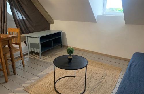 La Petite-Raon Apartment | Appart cosy, calme proche fôret