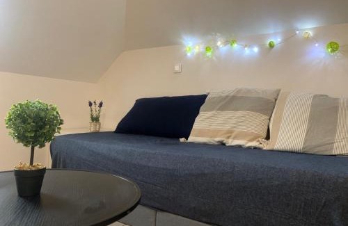 La Petite-Raon Apartment | Appart cosy, calme proche fôret