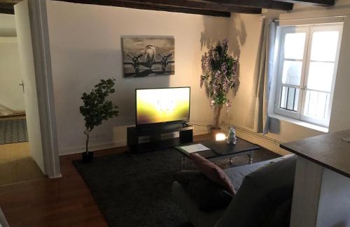 Aurillac Apartment | Appart Hôtel Le Victor Hugo 3 G sa pizza offerte