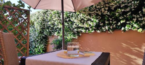 Gavorrano Apartment | Appartamenti Gli Ulivi Di Maremma