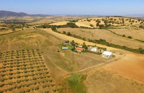 Grosseto Other | "Appartamento 5 - La Poiana" with Pool, Terrace & Wi-Fi