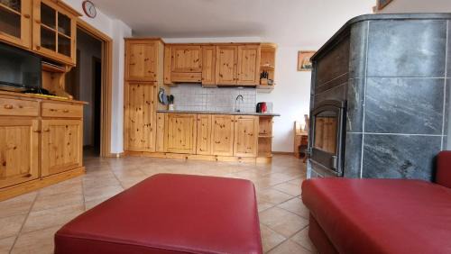 Campitello di Fassa Apartment | Appartamento Col Val di Fassa con Terrazza BAGNI RINNOVATI 2023