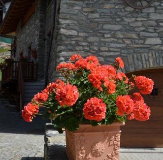 Champlong Dessus Apartment | Appartamento Con Giardino