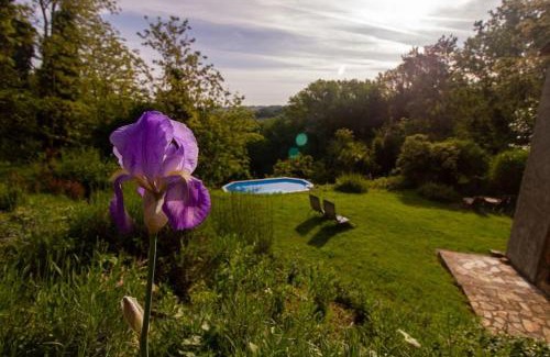 Ghizzano Apartment | Appartamento con piscina e giardino - Olivo