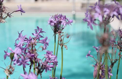 Trapani Apartment | Appartamento da Ciuruzzo