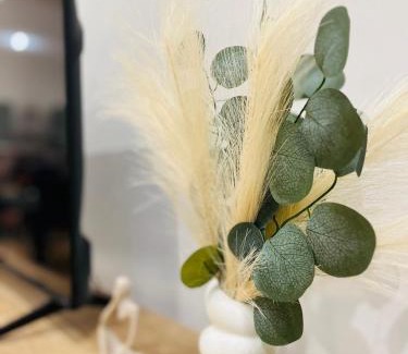 Sulmona House | Appartamento Eden Green