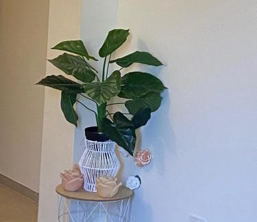 Imola Apartment | Appartamento Giardino