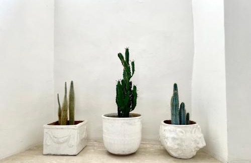 Terracina Apartment | Appartamento Piazza e Onde