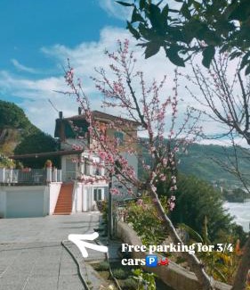 Latte Apartment | Appartamento un mare di fiori