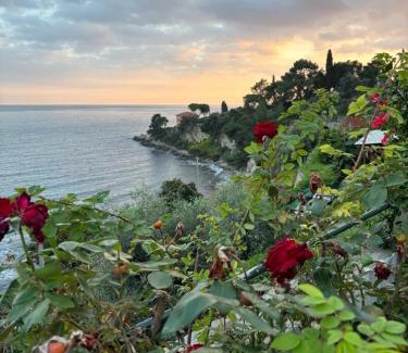 Latte Apartment | Appartamento un mare di fiori