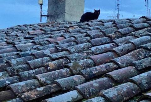 Old Town Apartment | Appartamento Viola 27