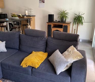 Saint-Jacques-de-la-Lande Apartment | Appartement avec terrasse proche de Rennes