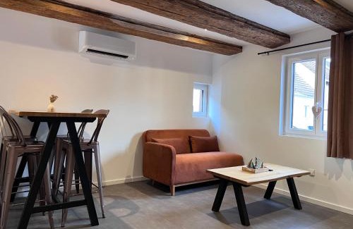 Kintzheim Apartment | Appartement 1769