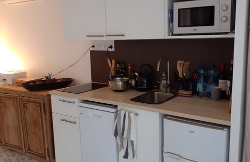 L'Evescat Apartment | Appartement 2 Pièces Jardin vue mer Baie des Sablettes