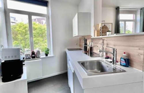 Marcq-en-Baroeul Apartment | Appartement 2 mairie de Marcq