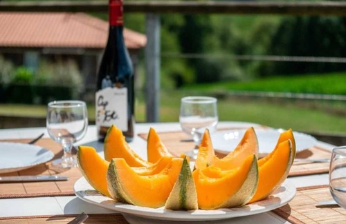 Cassen Apartment | Appartement 3 étoiles - Piscine - ccbbdde