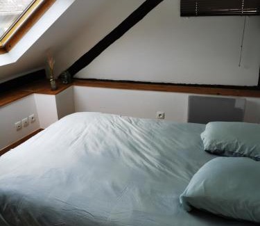 Saint-Avre Apartment | Appartement 4-6 personnes à proximité des stations et grands cols