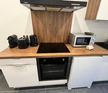 Vauban Apartment | Appartement 6 personnes Strasbourg proche centre ville & parking