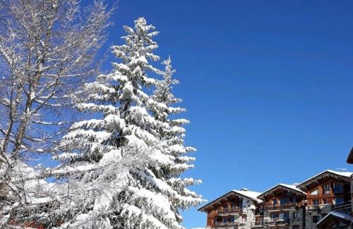 La Rosiere Apartment | Appartement 8 pers, 4 ch, cheminée, parking, Montvalezan - FR-1-275-223