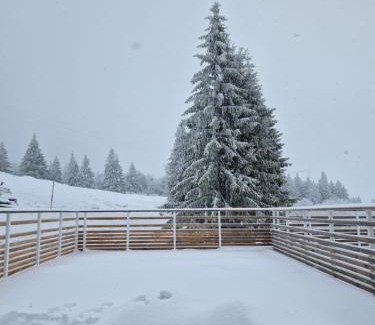 Orbey Apartment | Appartement au pied des pistes avec grande terrasse