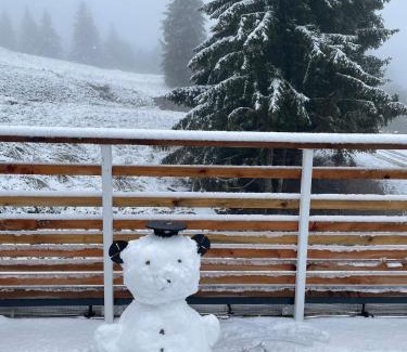 Orbey Apartment | Appartement au pied des pistes avec grande terrasse