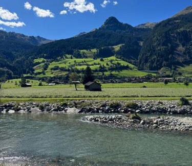Bad Hofgastein Apartment | Appartement Brandner