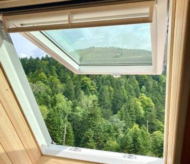 Boutx Apartment | Appartement Chalet à 1400m - Station du Mourtis