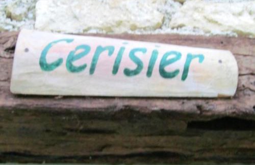 Blaignac Apartment | Appartement chaleureux à Blaignac avec piscine partagée - 55 m²