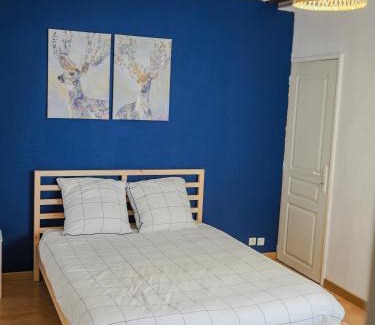 Orleans Apartment | Appartement chaleureux 2ch 3lits Orléans centre