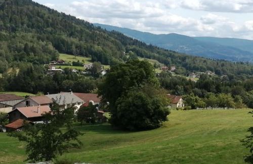 Cleurie Apartment | Appartement confortable à Cleurie avec jardin