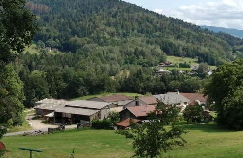 Cleurie Apartment | Appartement confortable à Cleurie avec jardin