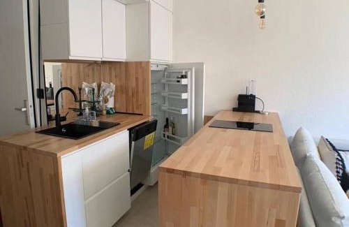 Le Sauze Apartment | Appartement confortable 6 pers. balcon exposé sud-est - FR-1-804-38