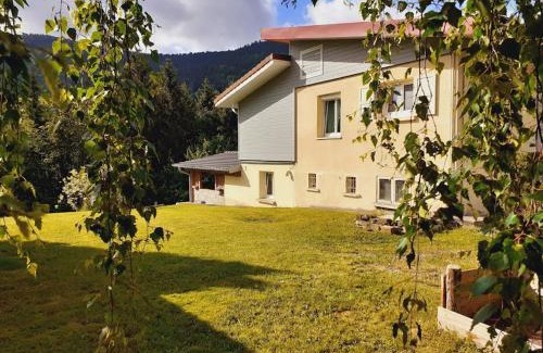 Bussang Apartment | Appartement cosy à Bussang