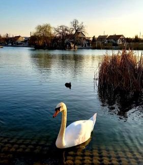 Vigneux-sur-Seine Apartment | Appartement Cosy ,WIFI ,Gare "Le Refuge du Lac"