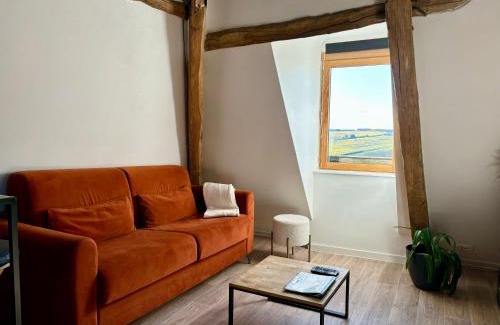 Sancerre Apartment | Appartement cosy vue sur le vignoble