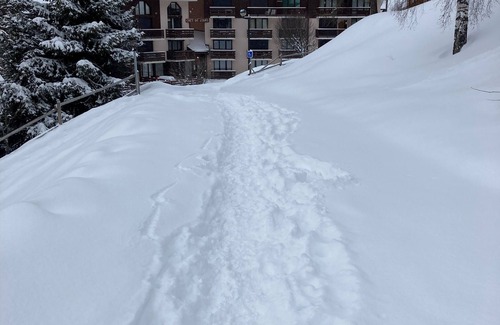 Nancroit Apartment | Appartement de Charme Tout Confort et Skis aux Pieds à Vallandry