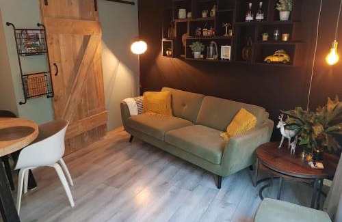 Lemmer Apartment | Appartement De Oliekan Medium