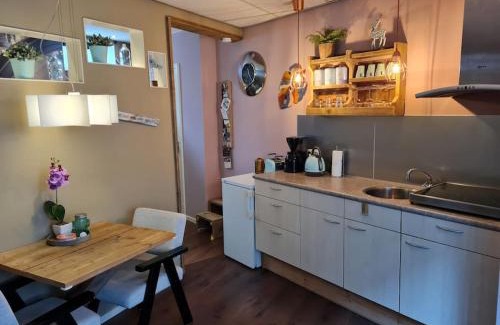 Lemmer Apartment | Appartement De Oliekan Small