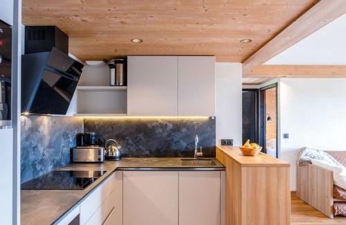 Les Saisies Apartment | Appartement de standing 4 pièces, SPA, parking, Les Saisies - FR-1-810-10