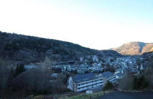 Mont-Dore Apartment | Appartement Duplex T3 avec Terrasse, Parking, WiFi - FR-1-608-72