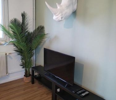 Quartier Saint-Leon Apartment | Appartement entier Colmar