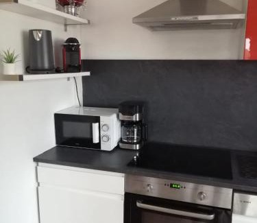 Quartier Saint-Leon Apartment | Appartement entier Colmar