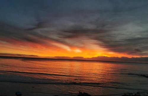 Loctudy Apartment | appartement fleurs